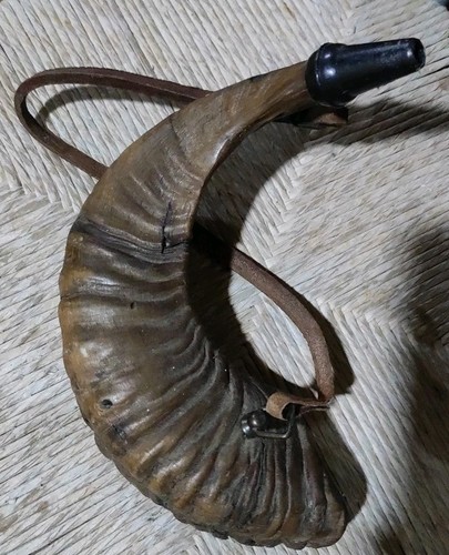 Corno muflone porta - corno,