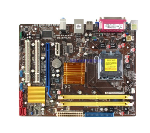 Asus p5qpl lga 775 intel - p5qpl-am,