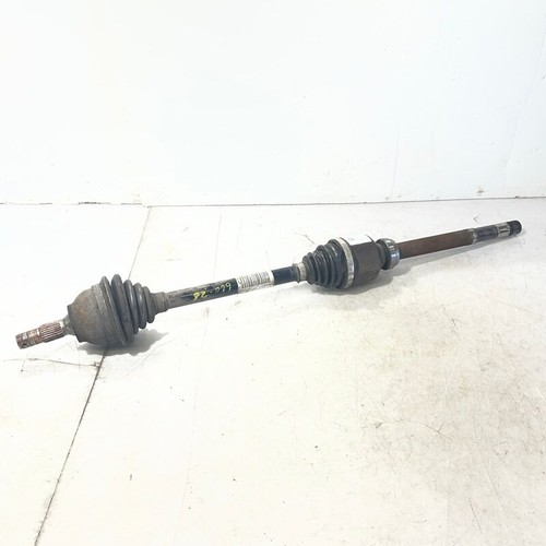 Semialbero ant compl - dx.,