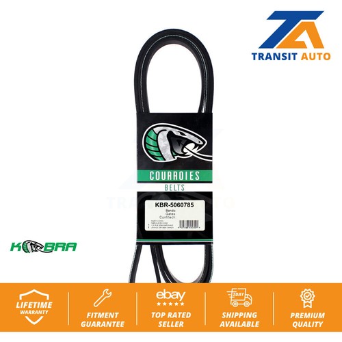 Main drive serpentine - serpentine, belt