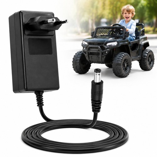 Caricabatteria auto elettrica - auto,