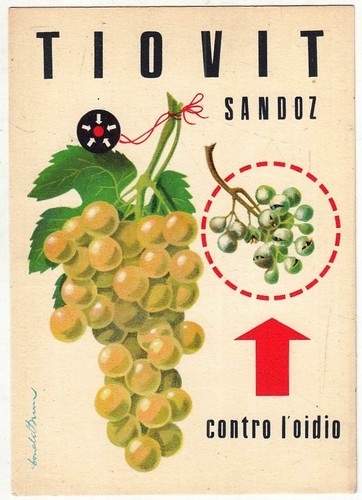 Cartolina pubblcitaria - cv-,