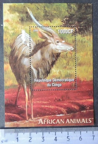 2005 animali africani - , antilope