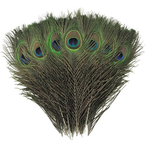 Ysjchebs piume pavone - ysjchebs,