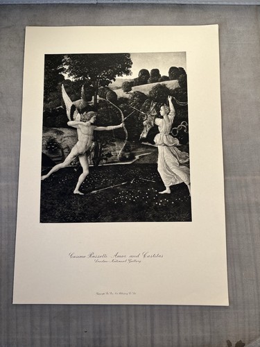 Cupido castita cosimo - castita,