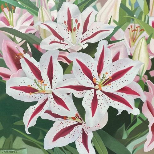 Quadro olio tela gigli rosa - tela,