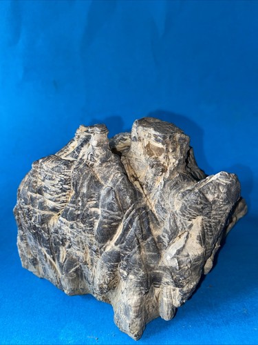 Pietra naturale suiseki