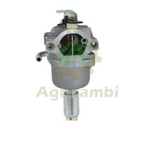 Carburatore Briggs & Stratton