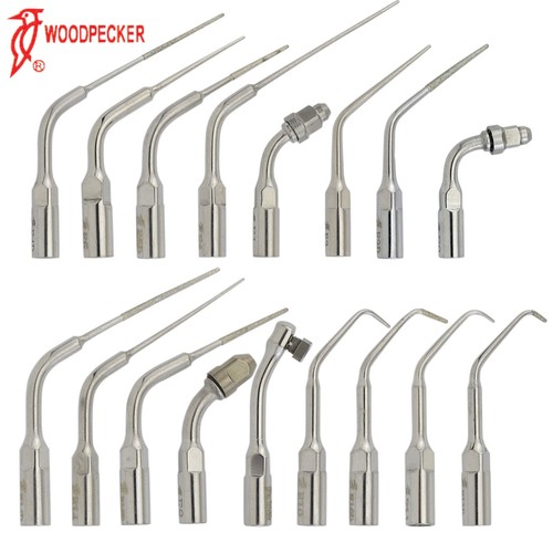 Picchio punta endodontica - picchio,