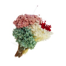 Glixia Marcela Gr 50 Fiori