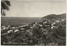 QUERCIANELLA - LIVORNO -