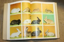 Libro tecnico allevamento