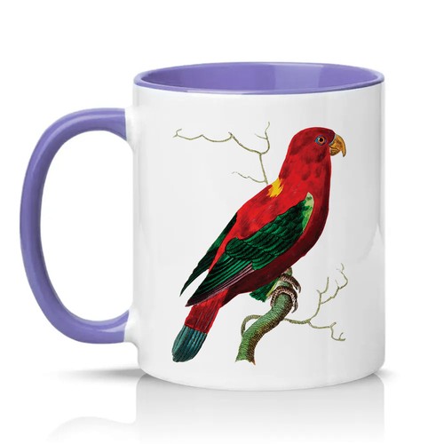 Tazza ceramica pappagallo