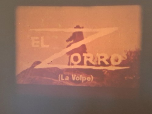 Zorro the fox - fox, super