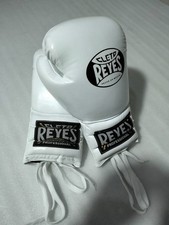 Guantoni da boxe Cleto Reyes