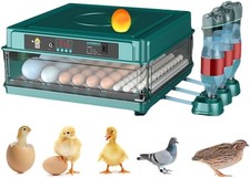 Incubatrice Uova Automatica