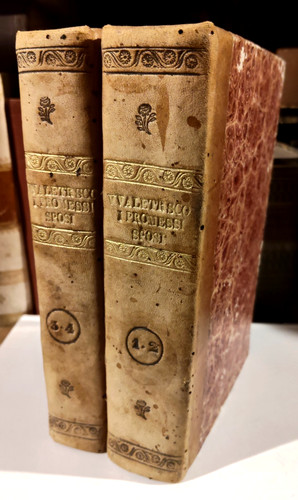 Alessandro manzoni promessi - alessandro, i