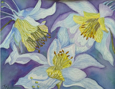 ACQUERELLO PITTURA 11X14 & MAT