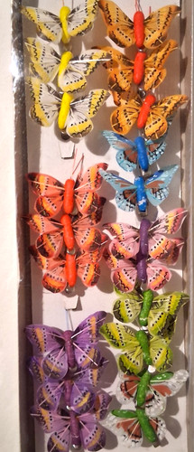 Confezione farfalle - confezione, 20