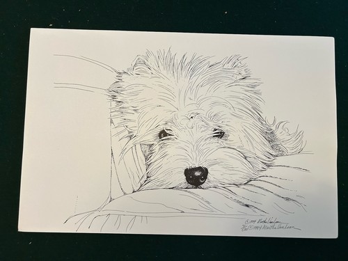Stampa cucciolo west highland - cucciolo,