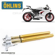 DUCATI V2 Panigale 2020-2021