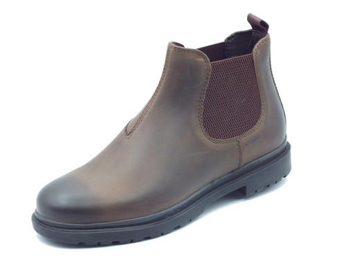 Geox u16dda andalo coffee - u16dda,