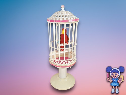 Pappagallo barbie tahiti in - tahiti,