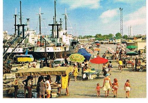 Cartolina non spedita - cartolina,
