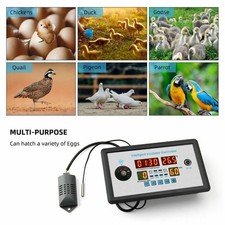 12V Intelligente Incubatrice