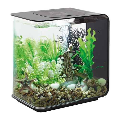 Oase biorb flow mcr nero - oase,