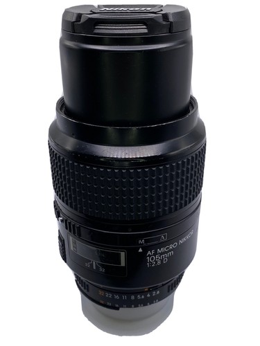 nikon