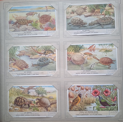 Liebig set carte commerciali - liebig,