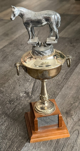 Statua cavallo trofeo - , coppa