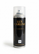 Vernice Auto Spray