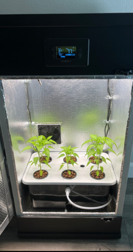 3ft led califlowerbox - califlowerbox, smart