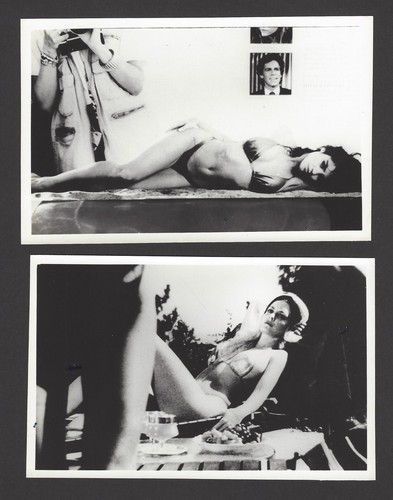 Esposizione totale 1991 - , foto