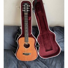 Baby Taylor301 chitarra