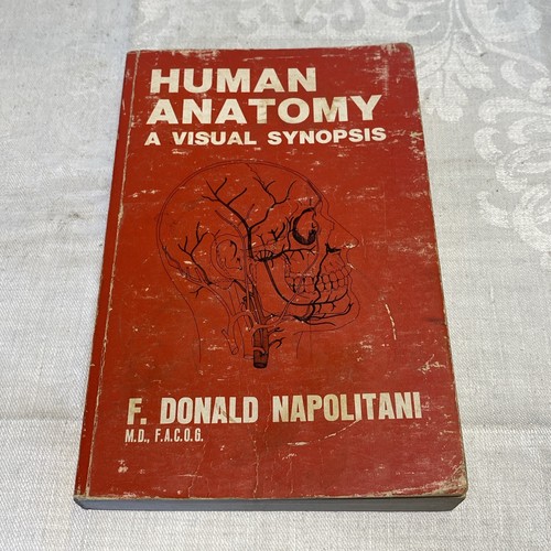 Rare vintage human anatomy - &, a