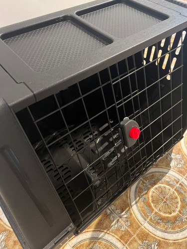 Trasportino auto per cane - trasportino,