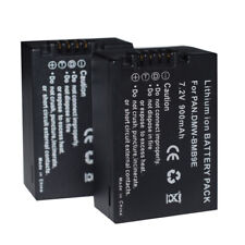 Confezione 2 batterie