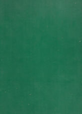 Schemario TV XLIV serie con note di servizio Editrice il Rostro