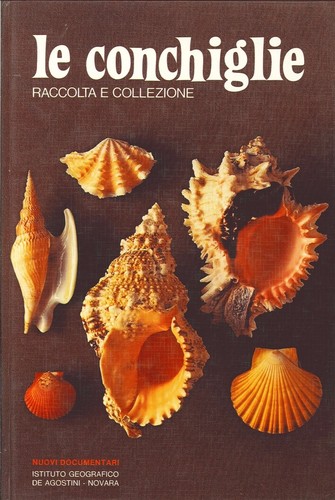 Conchiglie raccolta e - raccolta,