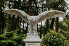 Aquila aquila reale statua in