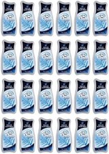 24 Pezzi Felce Azzurra Aria di