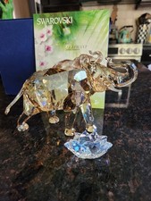 SWAROVSKI SCS Edizione Annuale