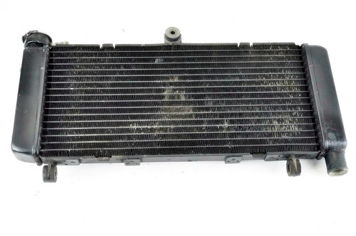 Honda hornet 600 2003 2006 - hornet,