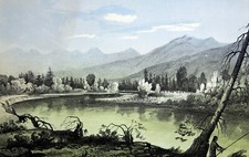 1860 RADICE AMARA FIUME VICINO