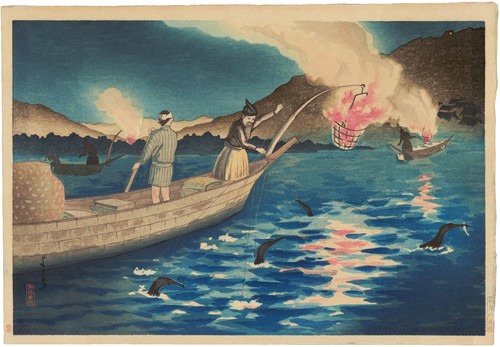 Yoshiji nagaragawa cormorano - yoshiji,