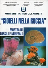 Gioielli nella roccia mostra di fossili e minerali  54 pagine
