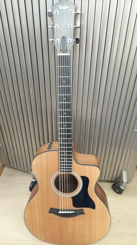 Chitarra elettrica acustica